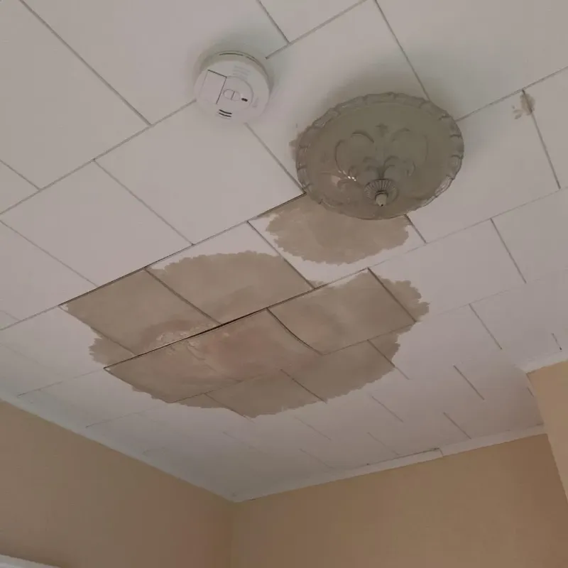 Ceiling Water Damage Repair in Elmira Heights, NY