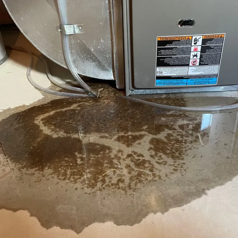 Pipe Burst and Leak Restoration in Elmira Heights, NY